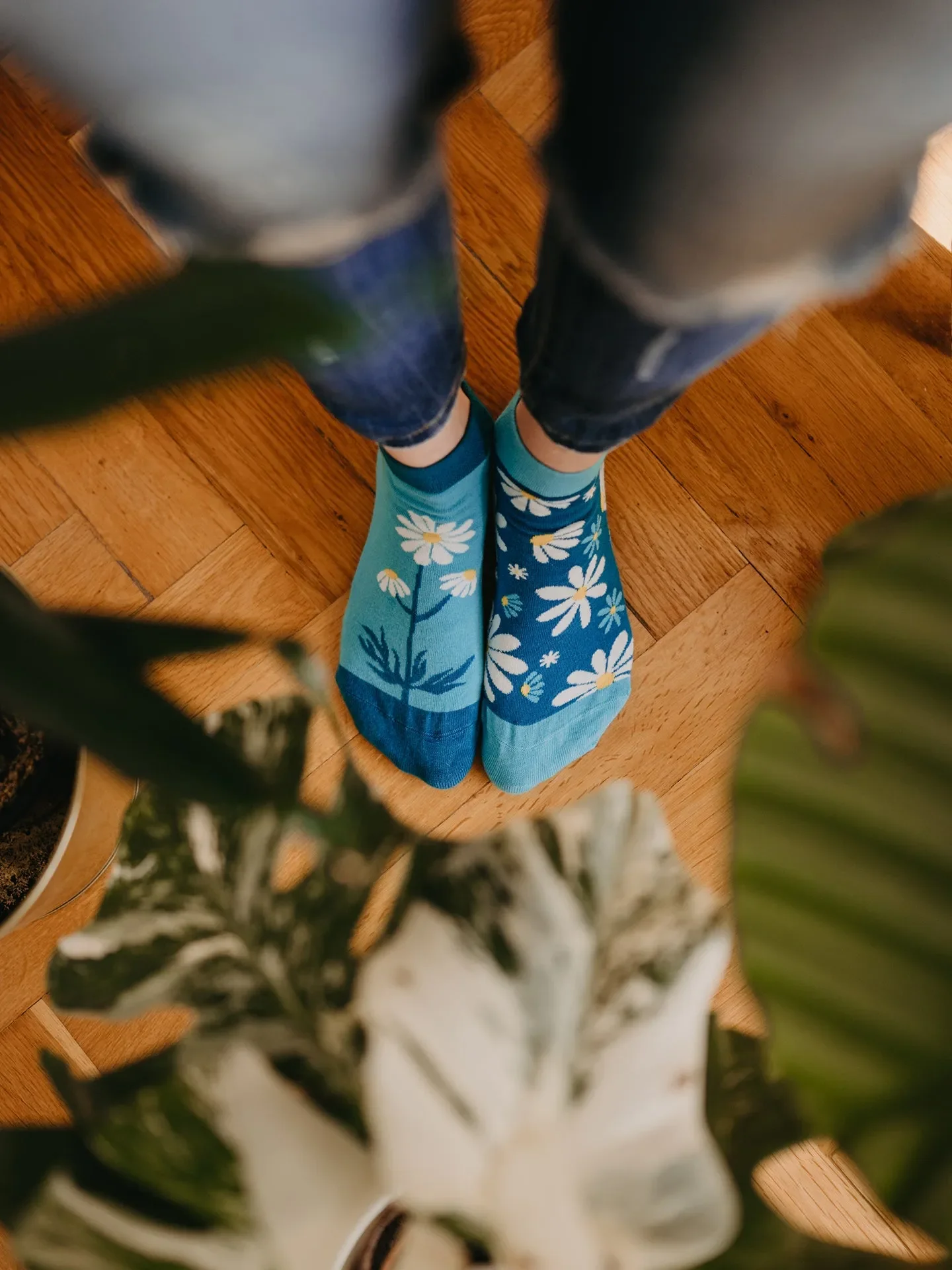 Lustige Knöchelsocken Kamillen - Image 3