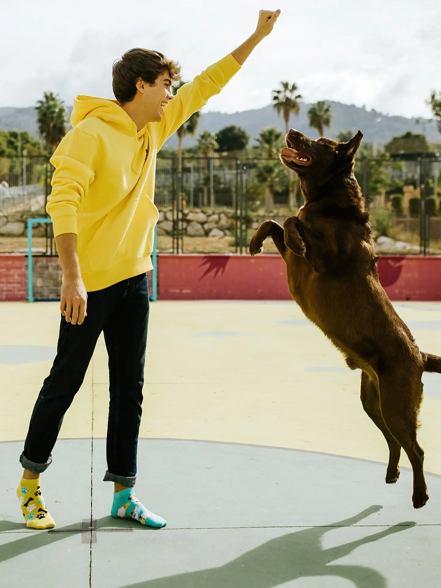 Lustige Knöchelsocken Fröhlicher Hund - Image 4