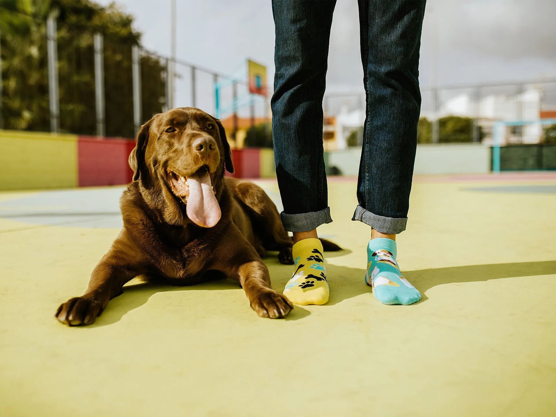 Lustige Knöchelsocken Fröhlicher Hund - Image 5