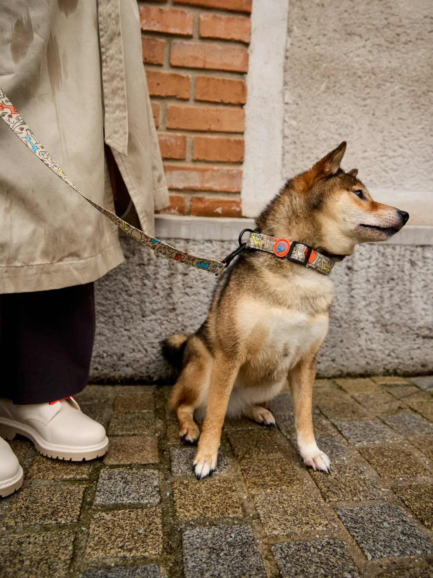 Hundehalsband Hundepack - Image 5