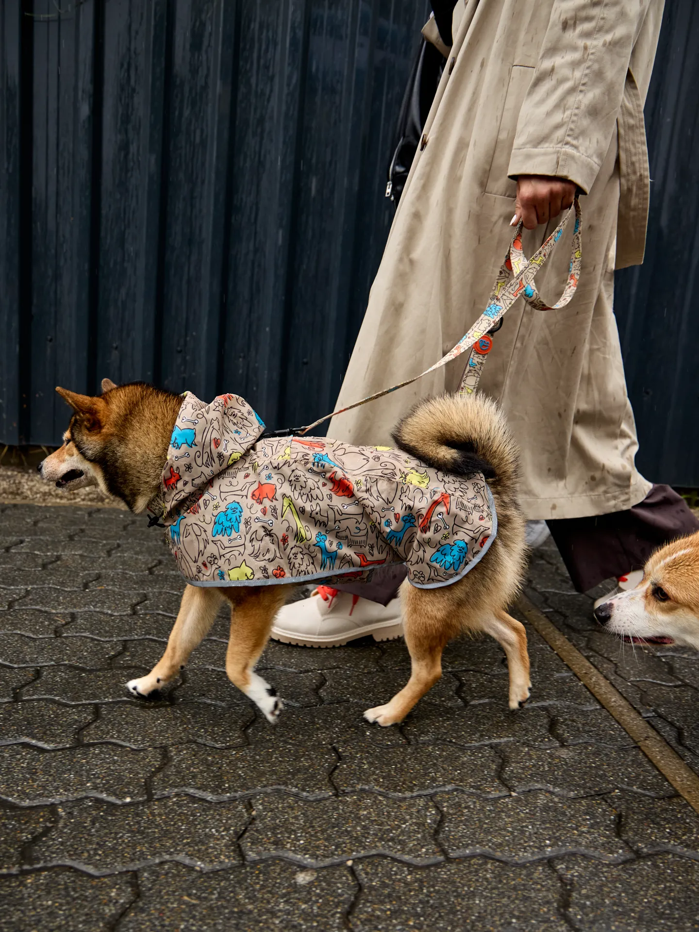 Regenmantel für Hunde Hundepack - Image 7