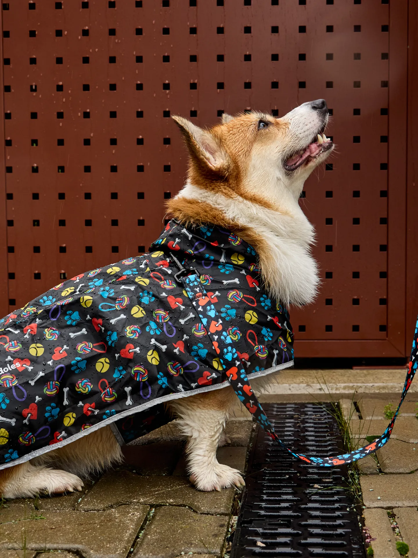 Regenmantel für Hunde Herzen und Pfoten - Image 8