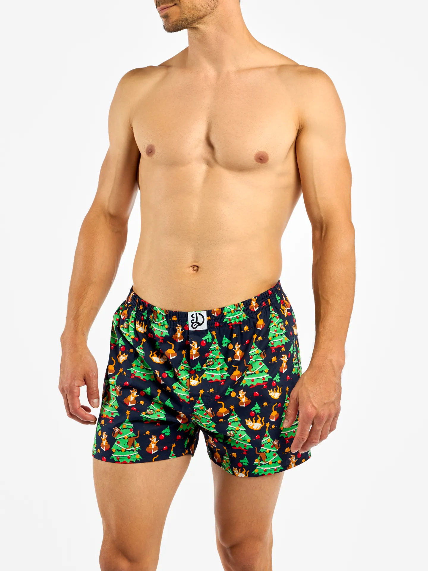 Lustige Shorts für Männer Katzenparty - Image 5