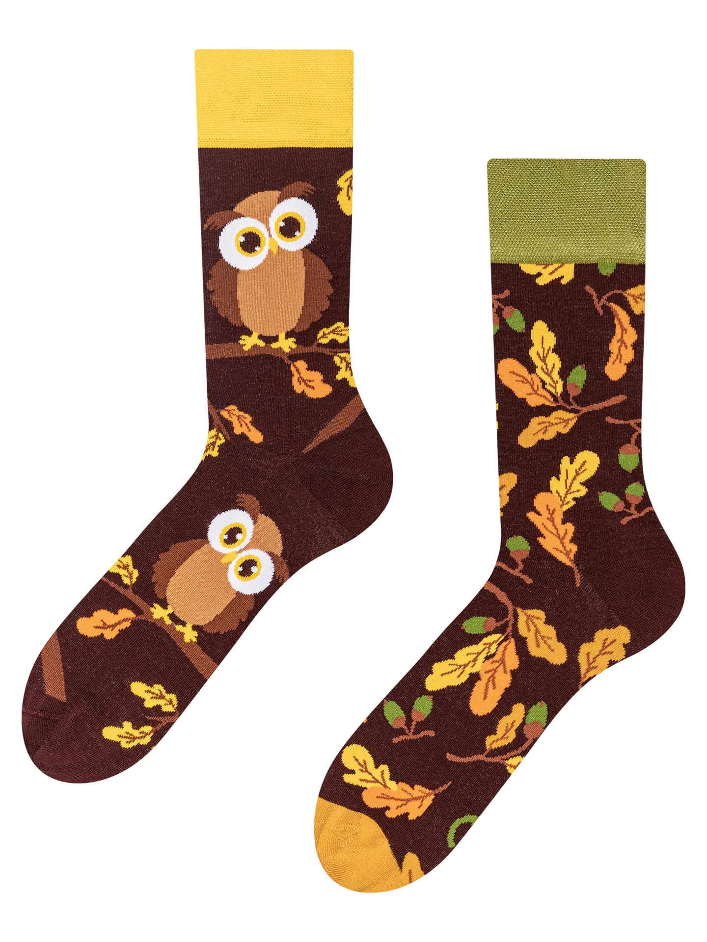Lustige Socken Neugierige Eule
