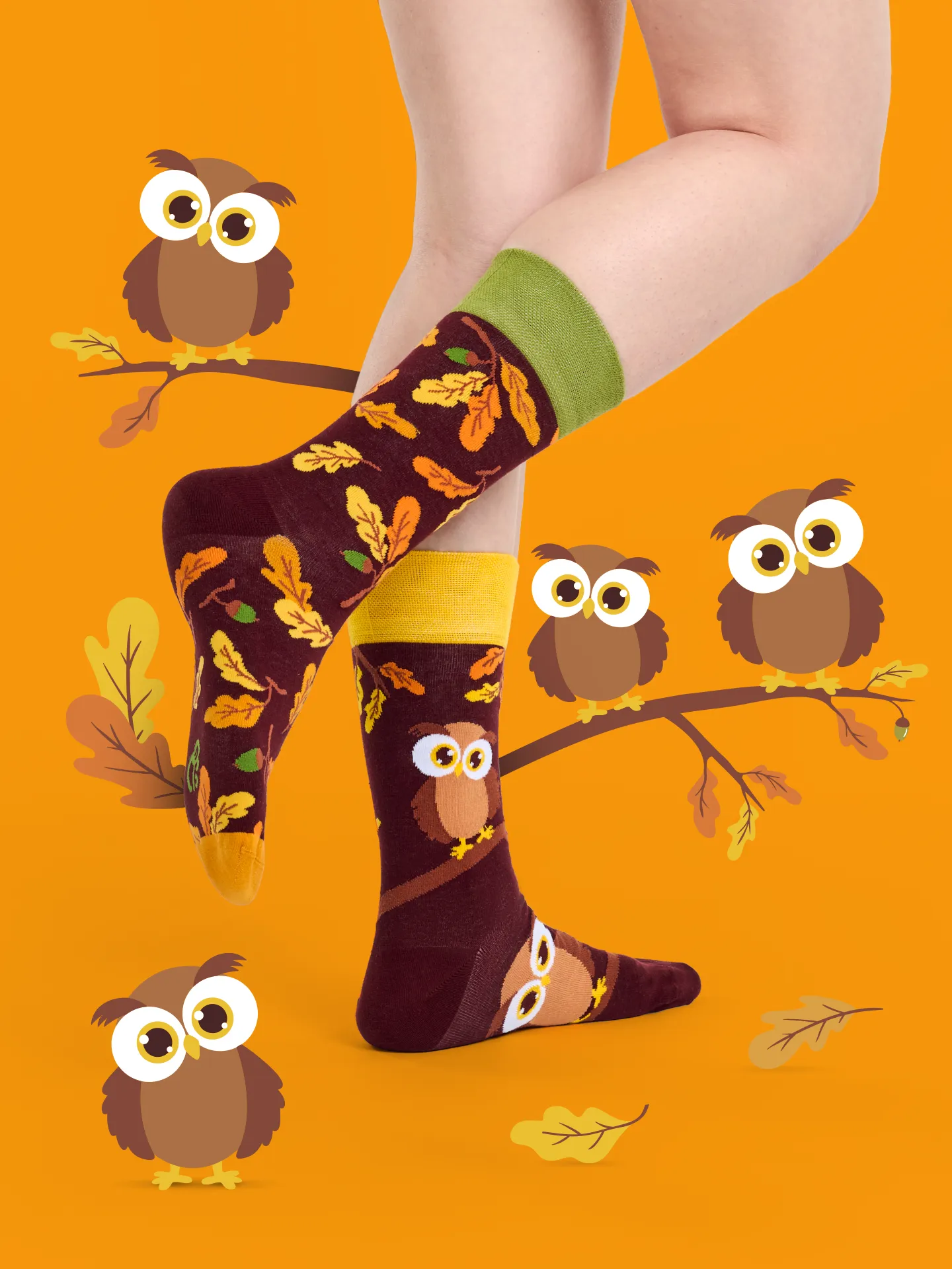 Lustige Socken Neugierige Eule - Image 4