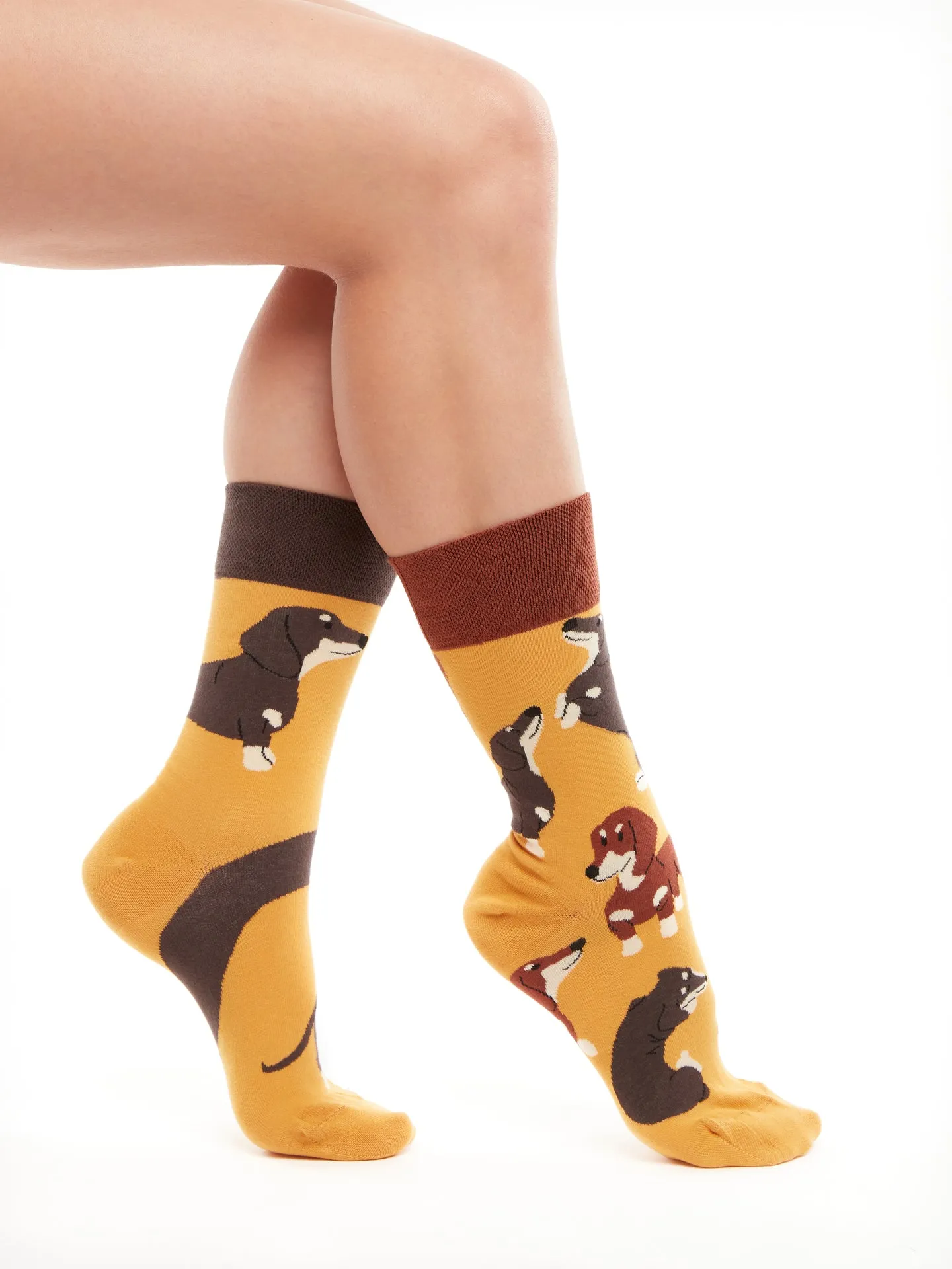 Lustige Socken Dackel - Image 2