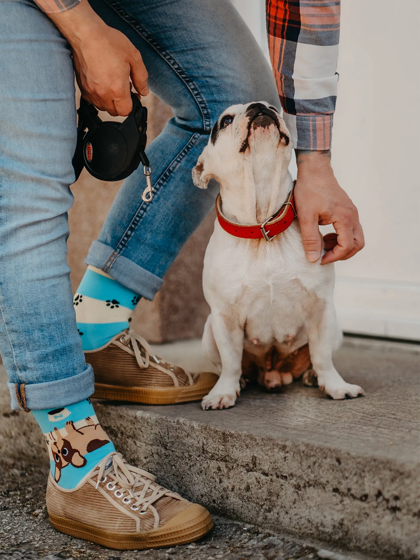 Lustige Socken Hunde und Streifen - Image 5