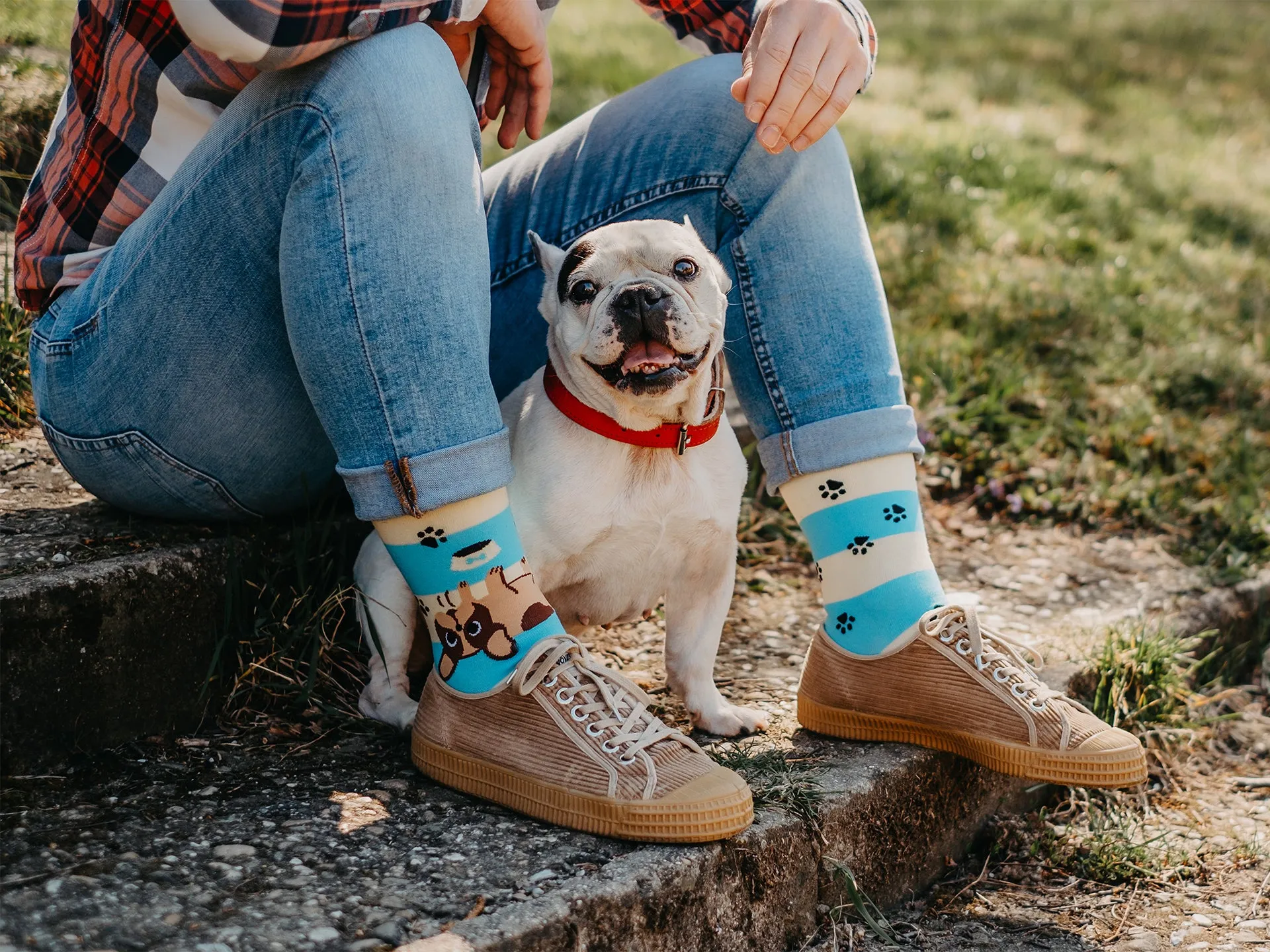 Lustige Socken Hunde und Streifen - Image 6