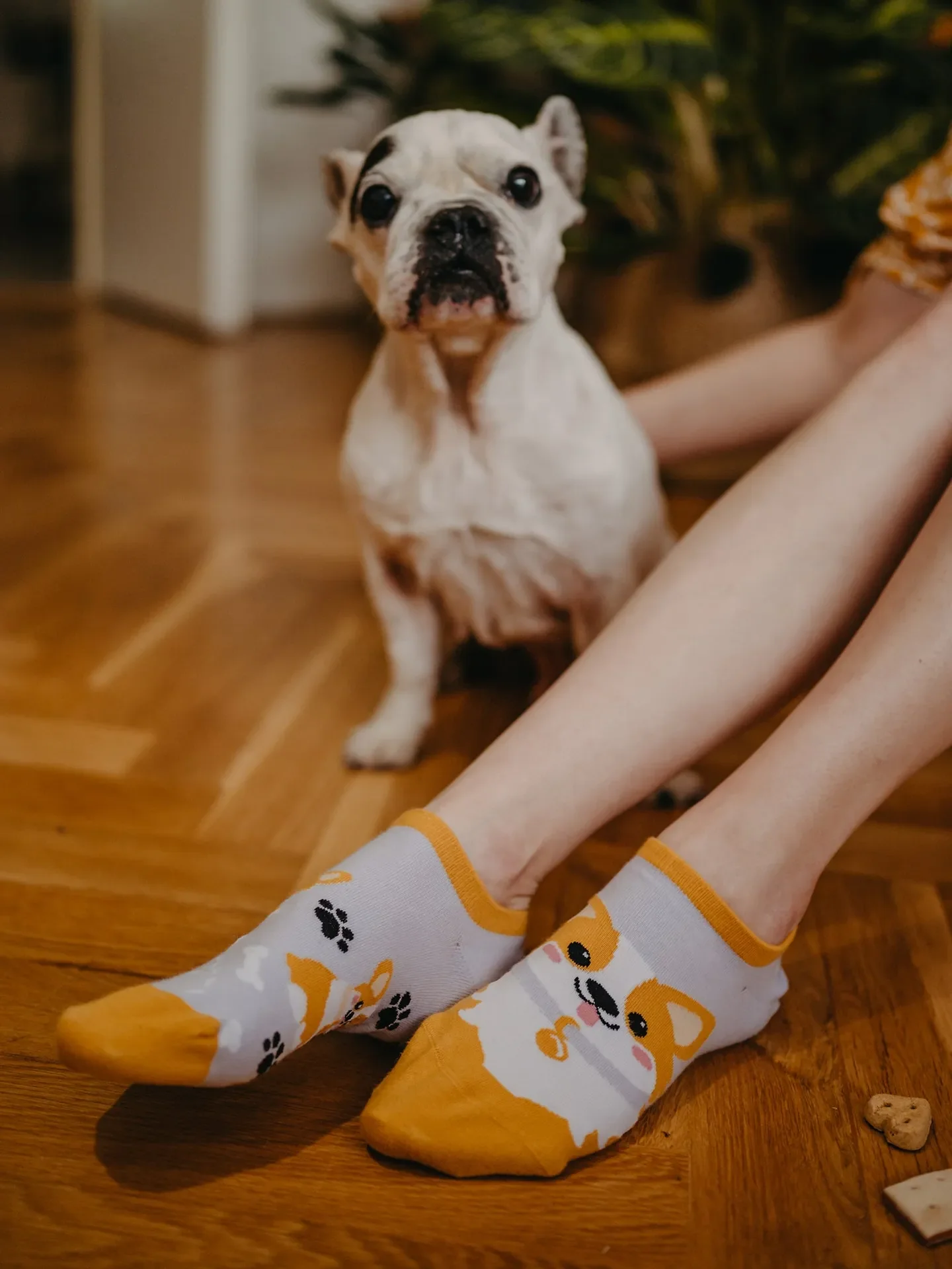 Lustige Sneakersocken Corgi-Hund - Image 4