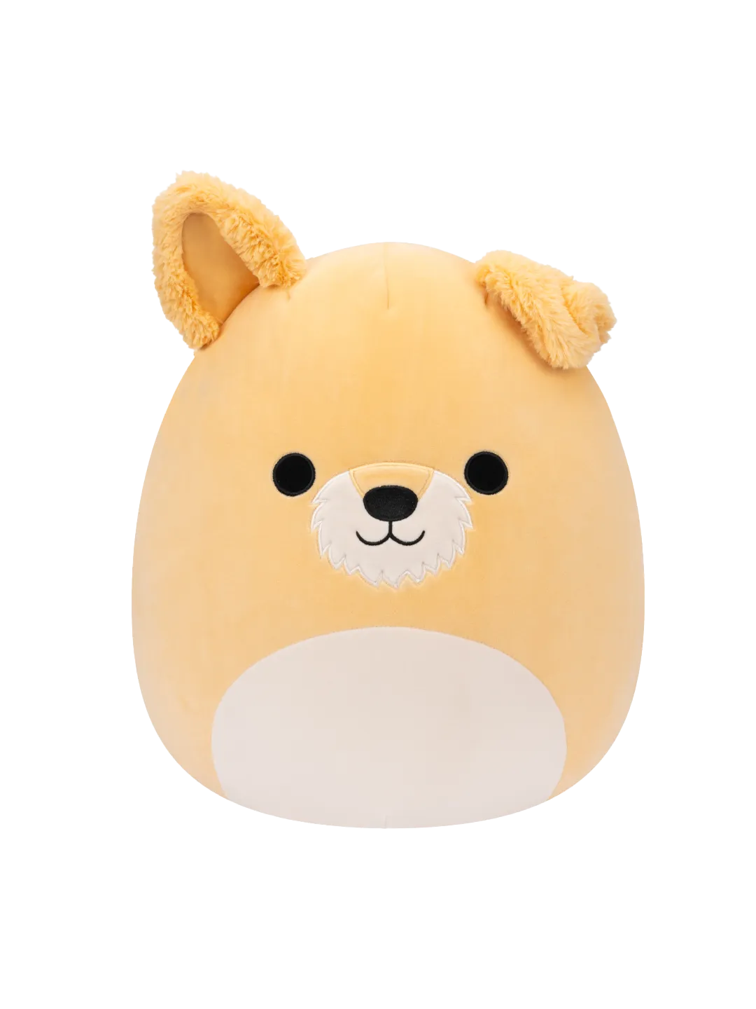 Squishmallows Cooper der weiße Hund, 35 cm