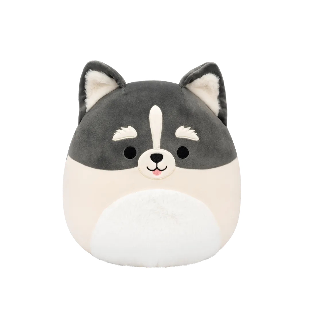 Squishmallows Paolo der grau-weiße Pomsky, 30 cm
