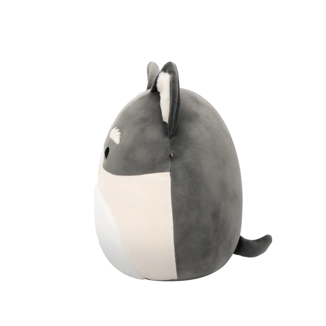 Squishmallows Paolo der grau-weiße Pomsky, 30 cm - Image 4