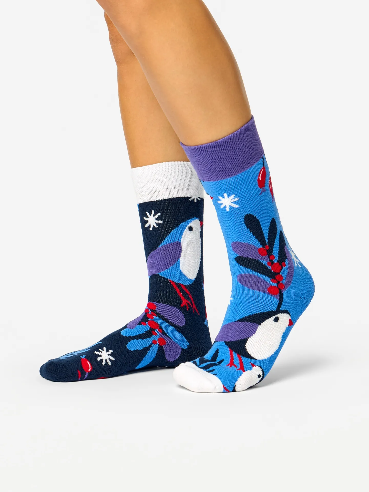 Warme Socken Wintervogel im Winter - Image 2